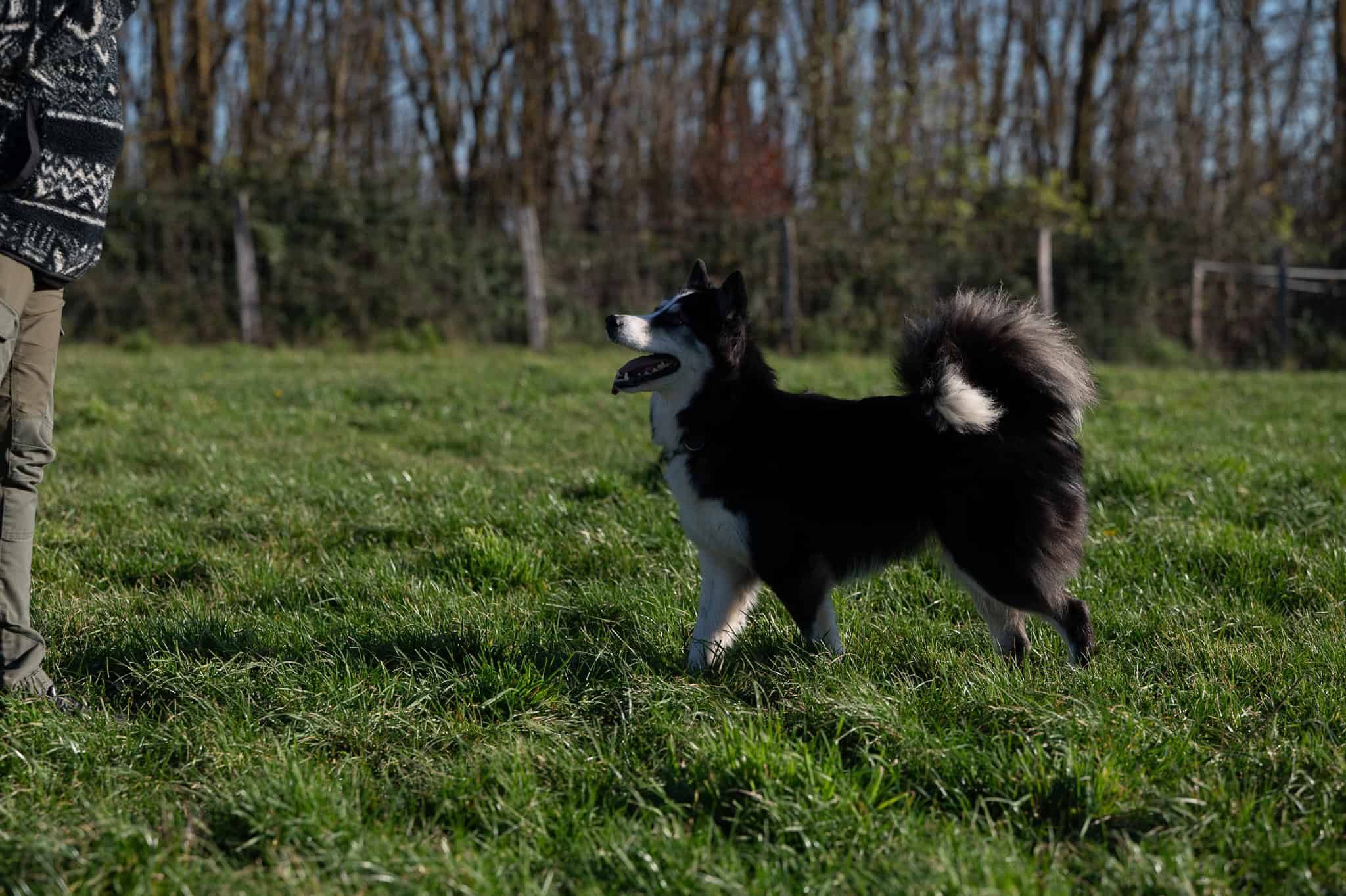 DSC_7250