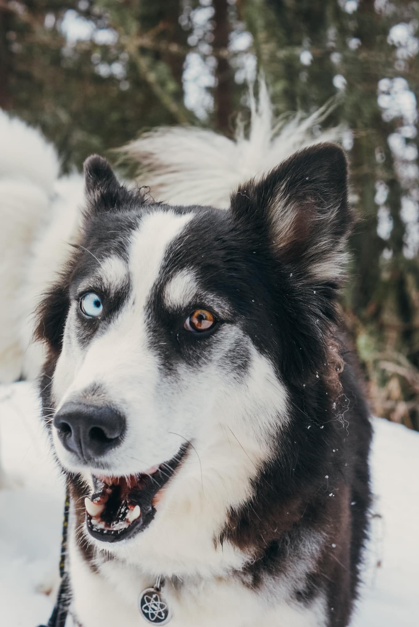 winterneverdies-freyja-image-27