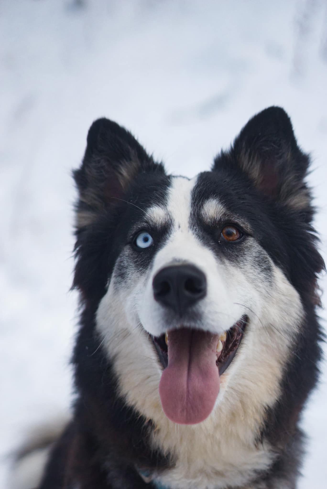 winterneverdies-freyja-image-28