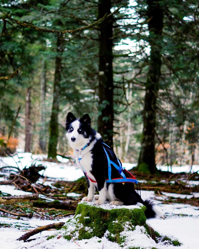 winterneverdies-ourai-image-11