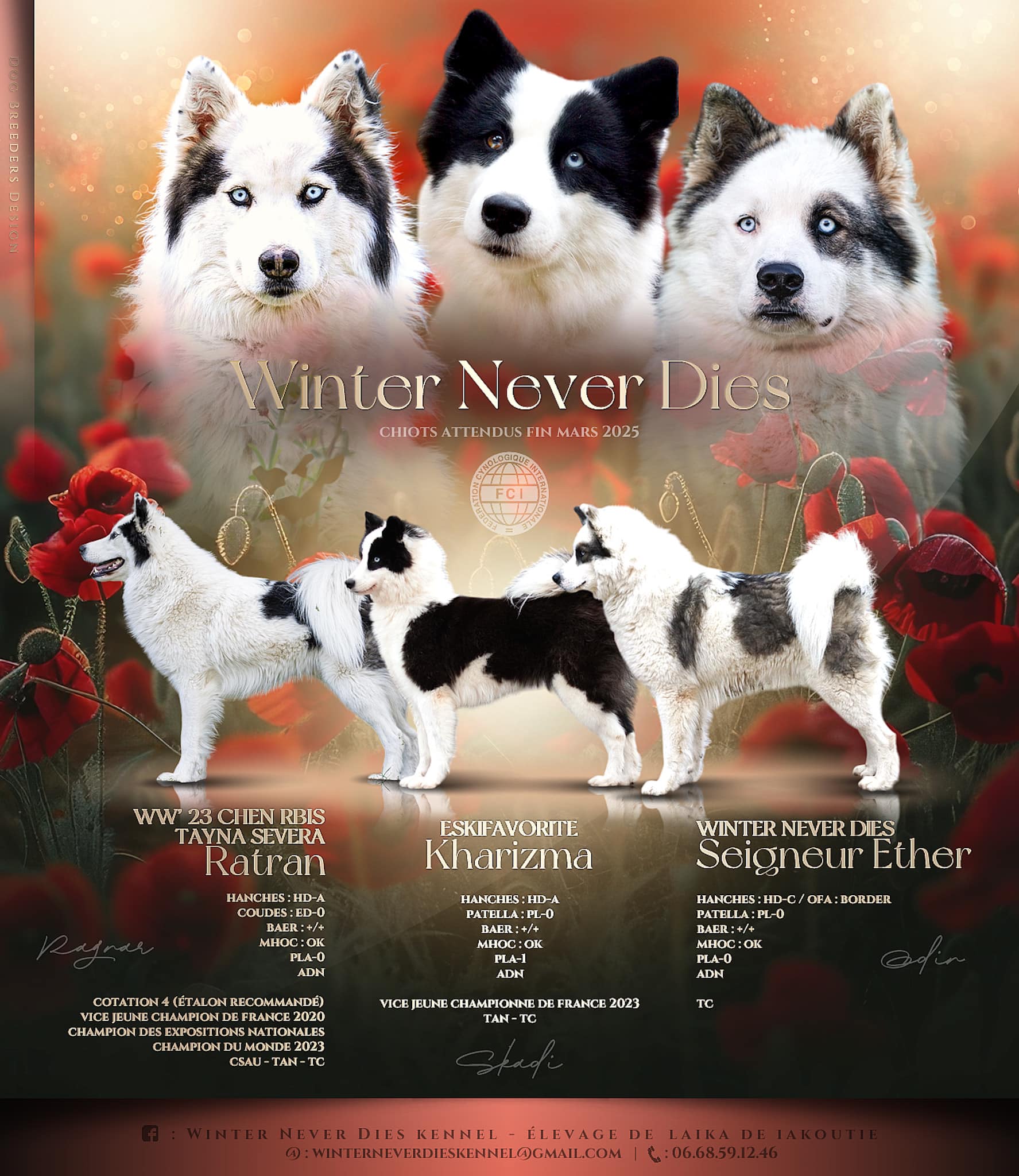 winterneverdies-portee-skadi-odin-1