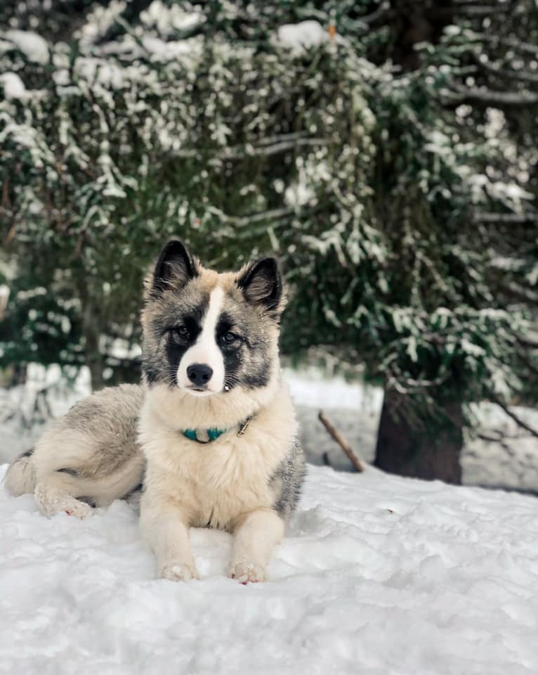 winterneverdies-rune-image-19