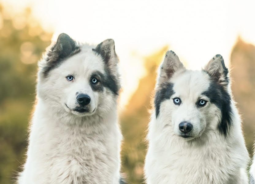 winterneverdies-odin-ragnar-2